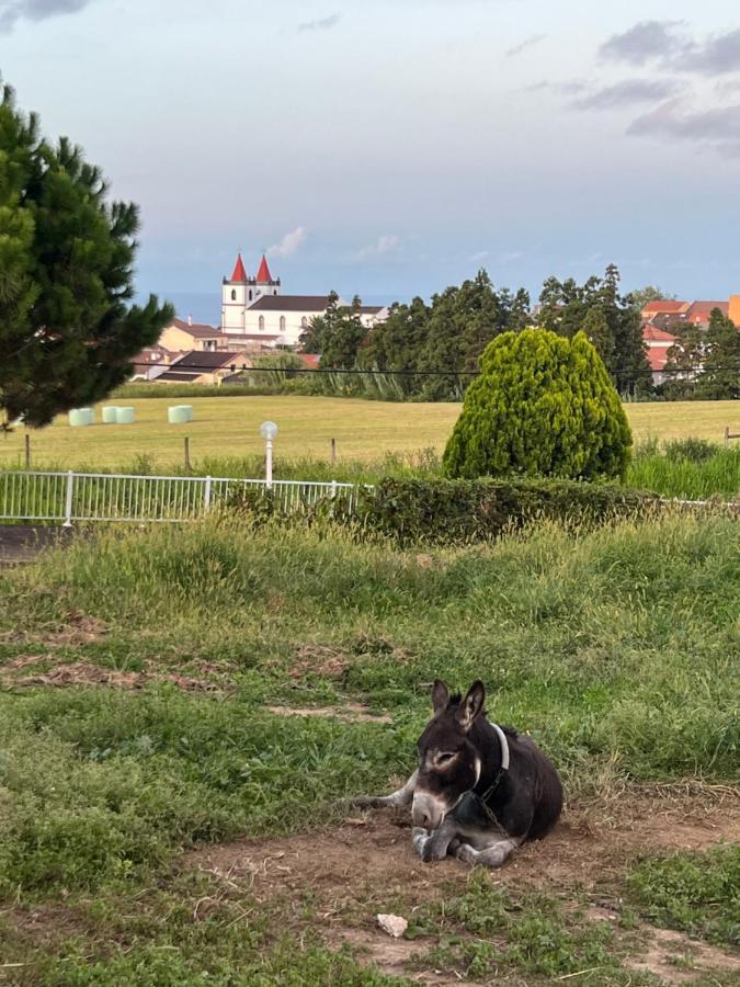 Quinta Do Avo Dimas - Rural Home - Sao Bras Porto Formoso エクステリア 写真
